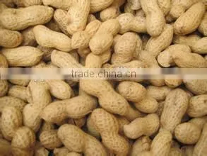 Peanut Brands thumbnail-1