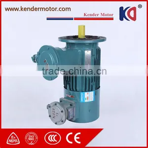 IP54 YVF2 Series Three Phase ac Induction Motor thumbnail-4