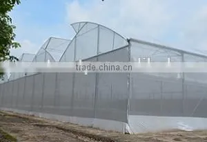 Greenhouse Film thumbnail-5
