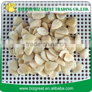 Blanched Apricot Kernels thumbnail-1