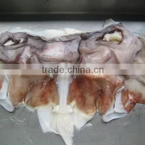 Frozen Giant Squid Neck thumbnail-2