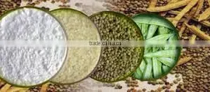 Guar Gum thumbnail-3