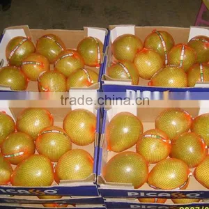 Chinese Fresh Pomelo Packing in Carton thumbnail-1