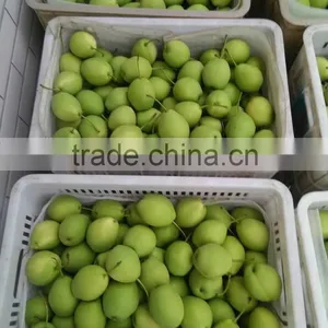 Year 2016 New Season Shandong Pears thumbnail-4