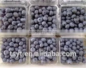 IQF Frozen Chinese China Best Quality Better Quality Wild Blueberry Blueberries thumbnail-6