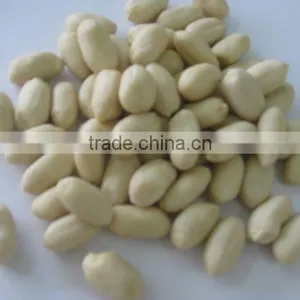 Supplier of Commom Peanut Kernels 25/29 thumbnail-1