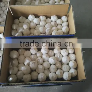 2016 New Fresh White Garlic at Cheap Price thumbnail-4
