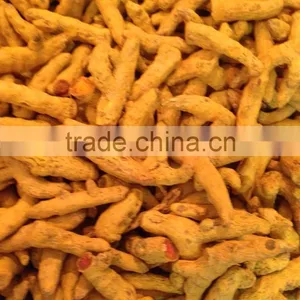 INDIAN TURMERIC thumbnail-3