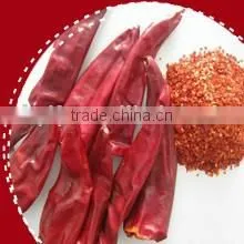 Red Chilli 2012 New Crop thumbnail-1