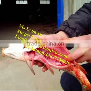Fish Scaling and Killing Machine / Industrial Fish Gutting Machine thumbnail-4