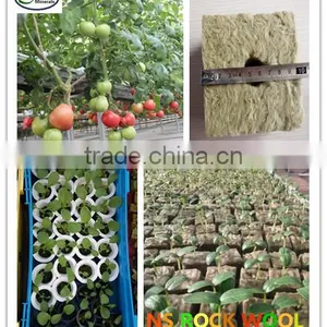 Rock Wool Cubes for Seed Starting thumbnail-1