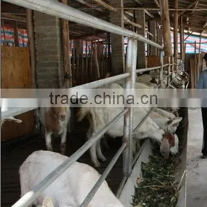 Hot Dip Galvanized Sheepcot thumbnail-5