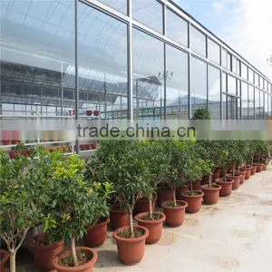 Film Cover Material and Small Size Greenhouse thumbnail-2