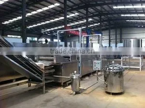 LX-II Continous Automatic Fryer-Jinan Chenyang Company thumbnail-1