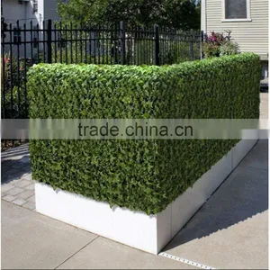 Artificial Plastic Wihte Planter Artificial Boxwood Hedge Fence thumbnail-1