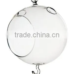 Acrylic Globe Terrarium thumbnail-1