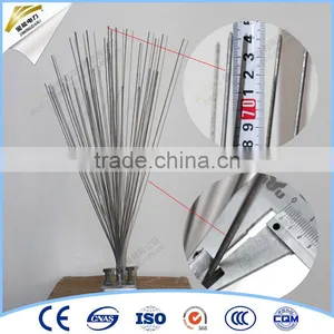 Anti-bird Galvanized Steel Bird Spike thumbnail-1
