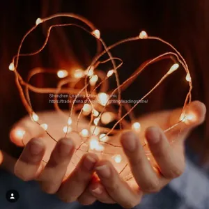 USB 5 Meter 50 Lights 10 Meter 100 Lights Colorful Munti Color Choosing Customized Copper String Fairy Firefly Light thumbnail-1
