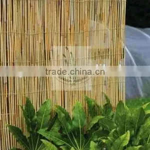 Reed Fence Screen for Gardening thumbnail-5