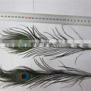 Factory Directly Sale Wholesale Top Quality Peacock Feathers in Stock thumbnail-1