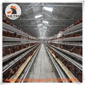 Brazil A Type Battery Laying Hen Cage & Chicken Cage With 90-200 Birds for Poultry Farm thumbnail-2