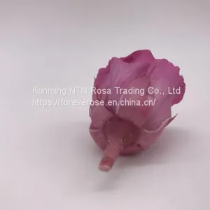 Preserved Rose Flowers for Wedding Decoration Flower Arrangement thumbnail-3