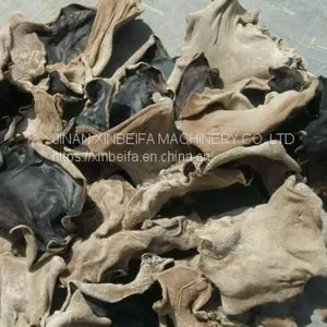 Fungus Drying Machine thumbnail-5