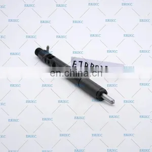 ERIKC EJBR02501Z Original Diesel 2501Z Common Rail Injector EJB R02501Z thumbnail-5