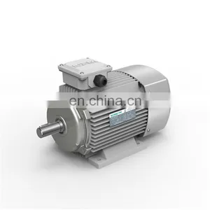 YE2 Series Electric Motor High Speed Three Phase Induction Motor for Industry Machinery Asynchronous Motor thumbnail-7