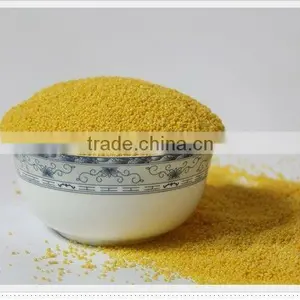Yellow Millet thumbnail-1
