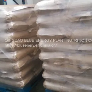 Ascophyllum Nodosum Seaweed Extract Powder Organic Fertilizer thumbnail-4