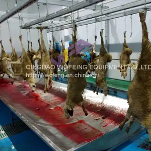 Good Supplier Sheep Slaughter Machinery Halal Goat Meat Slaughterhouse Equipment For Butchery Equipment thumbnail-2