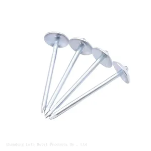 Africa Umbrella Head With Roofing Nails Galvanize Umbrella Head Roofing Nails thumbnail-2