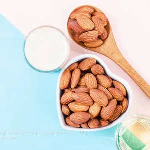Pure Organic Certified Almond Oil at Whole Sell Price With MSDS Certification thumbnail-1
