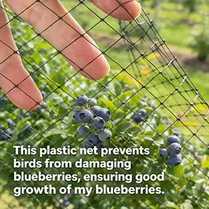 Plastic Bird Netting Factory Price thumbnail-3