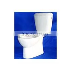 Concealed S Water Closet thumbnail-1