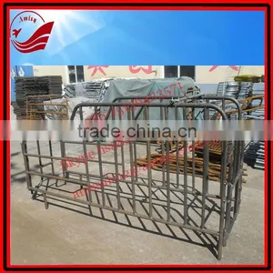 Gestation Stall for Pig Farm thumbnail-1