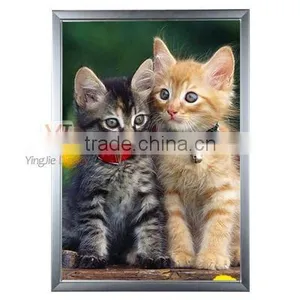 Outdoor Led Advertising Slim Display Light Box thumbnail-1