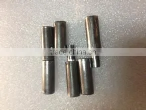 Iron Gate Spring Hinge thumbnail-1