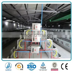 Steel Structure Chicken House thumbnail-3