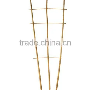 Bamboo Trellis - Bamboo Rack for Vine thumbnail-1