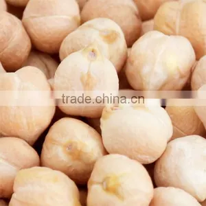 Competitive Prices China Xinjiang Kabuli Chickpeas in Bulk thumbnail-1