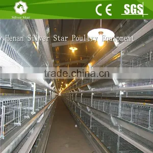 Chicken Layer Cage Used Automatic Layer Poultry Equipment thumbnail-1