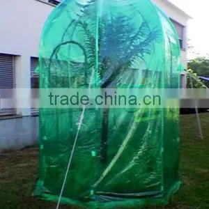 Garden Greenhouse thumbnail-4