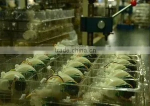 Zhongshan Hulalababy Co., Ltd. company overview - view 3 thumbnail