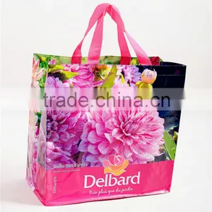 Wenzhou Beautiful Wholesale pp Woven Carton Chrismas Shopping Bag thumbnail-4