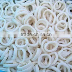 Frozen Squid Ring thumbnail-1