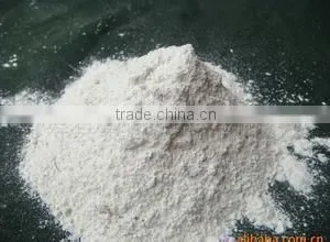 Water Treatment Hydrated / Quick Lime Powder 80%--90% thumbnail-1