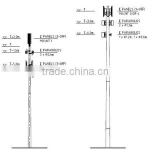 10M GSM Telecommunication Camouflaged Monopole thumbnail-1