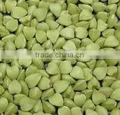 Raw Buckwheat& Raw Buckwheat Kernels& Raw Buckwheat Hull thumbnail-1